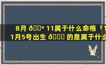 8月 🌺 11属于什么命格「11月5号出生 🐝 的是属于什么命格」